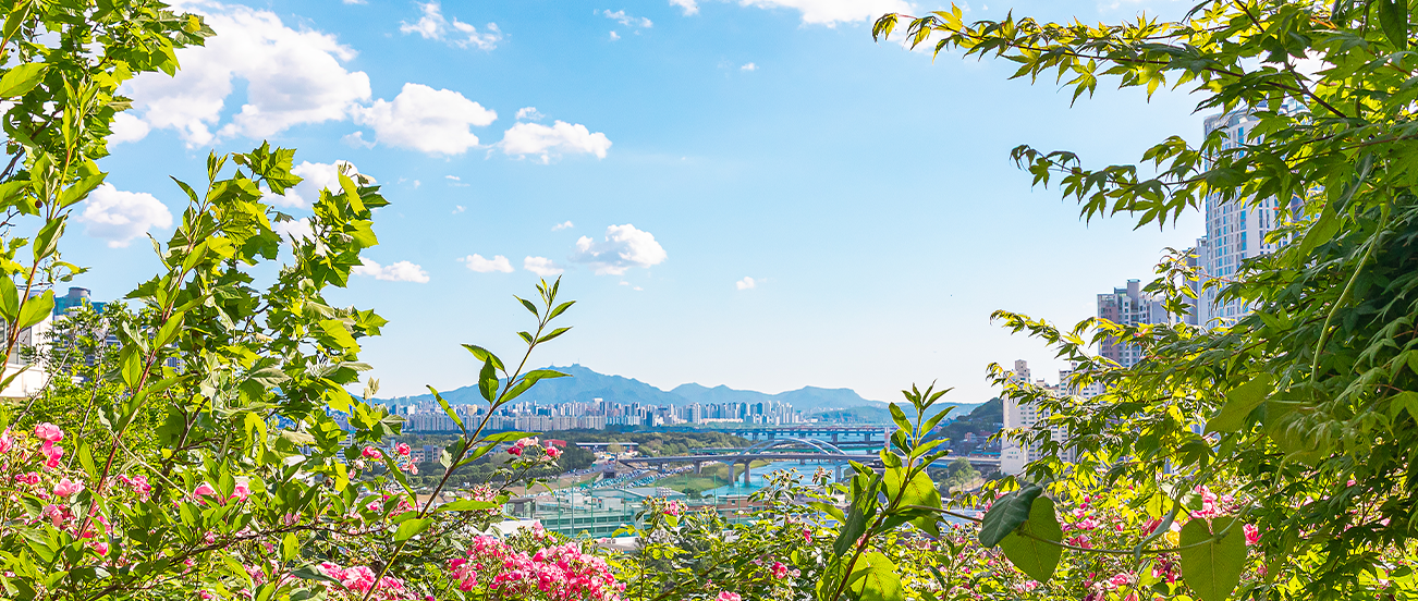 Scene 4-Riverside’s Night Lights