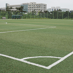 기숙사 인조잔디구장